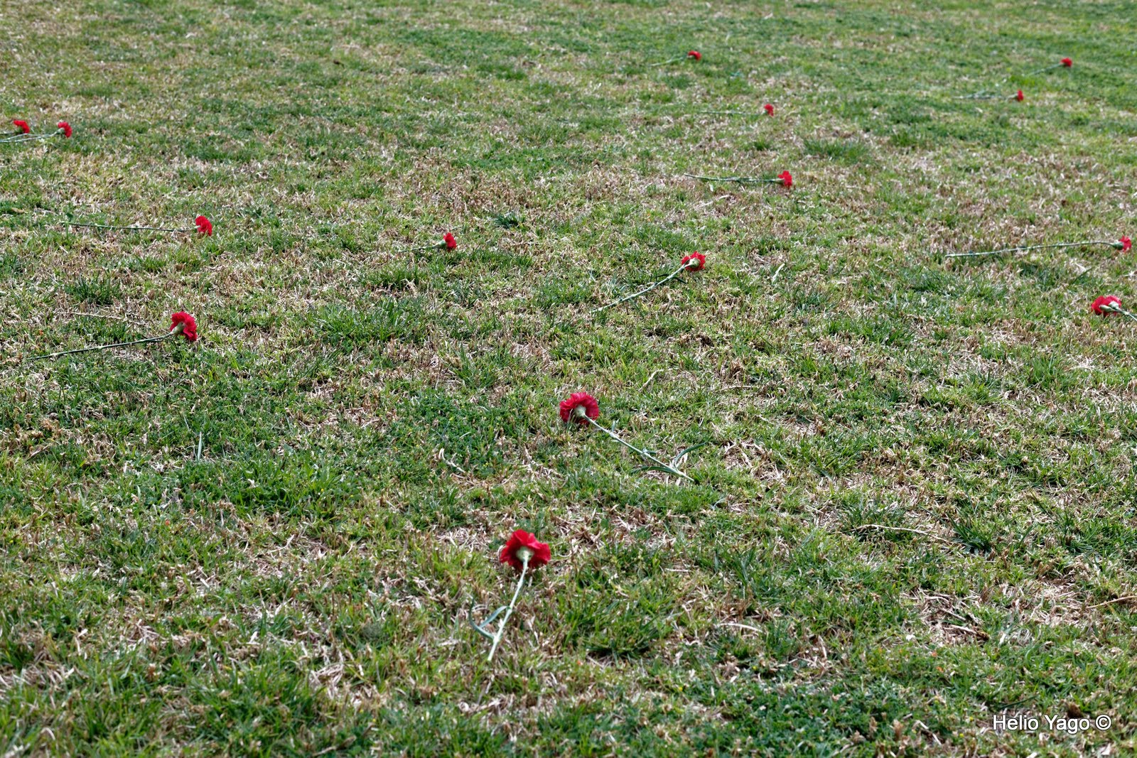 14 de abril Cementerio Municipal de València.