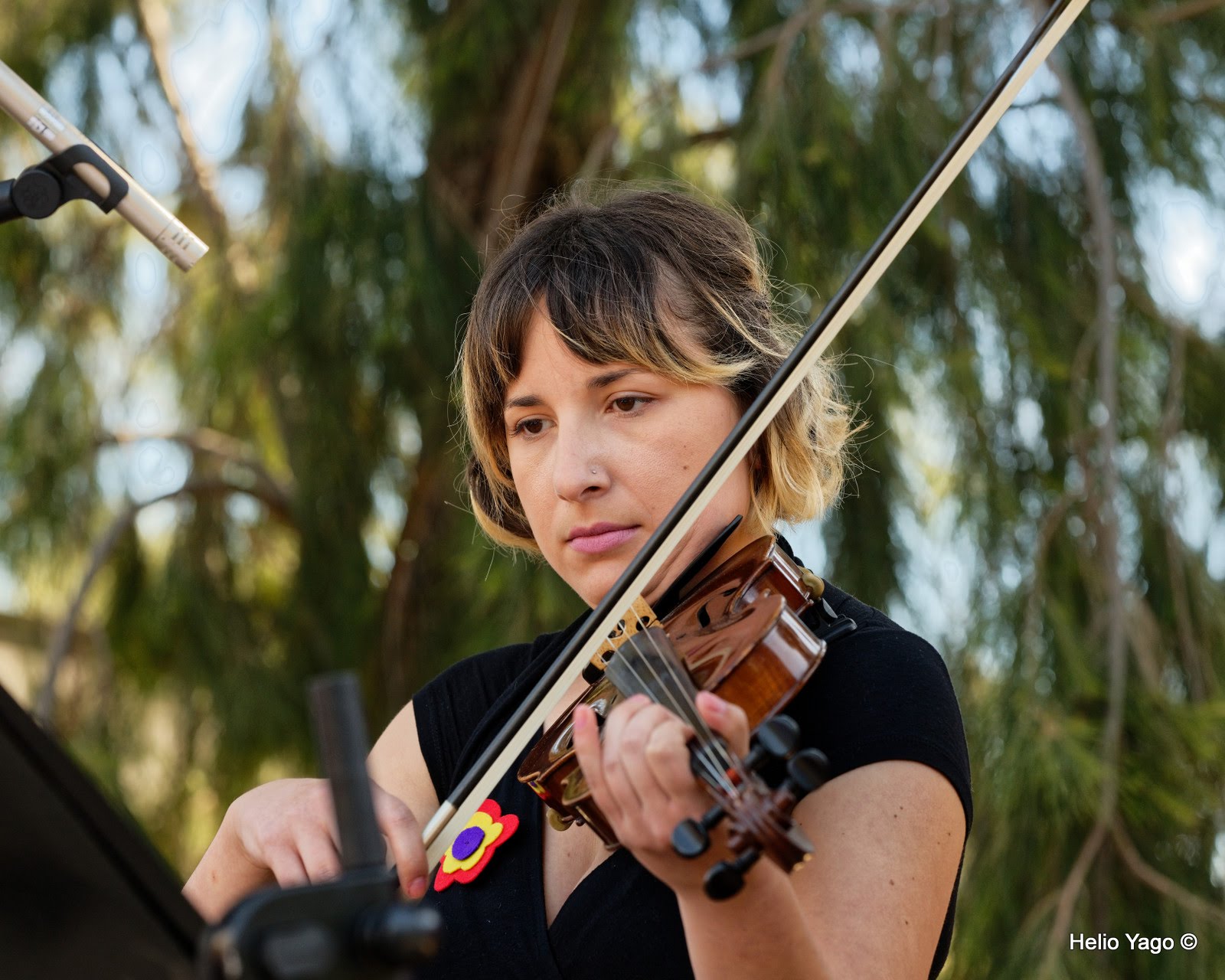 Cementeri Muncipal de Paterna (República)