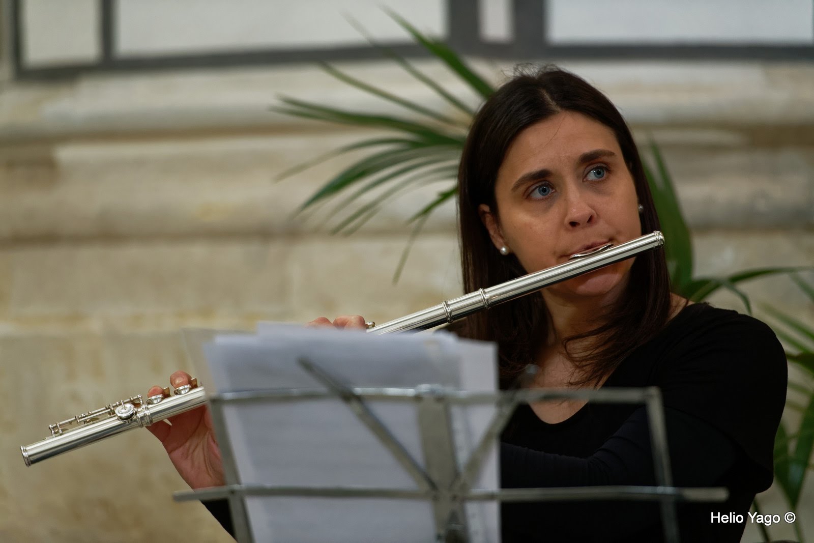 Concert Sacre a Navarrés