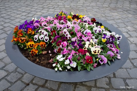 En Timisoara con la Fuji X100F