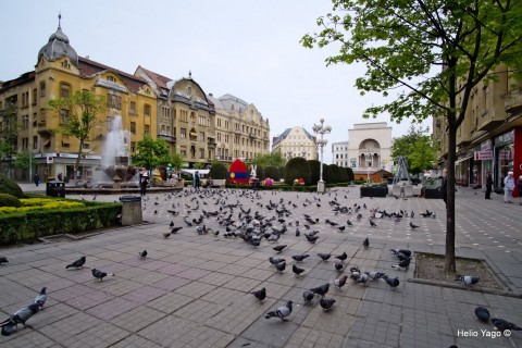 Callejenado por Timisoara con X-Pro2
