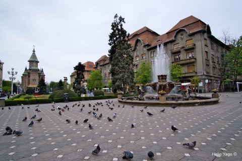 Callejenado por Timisoara con X-Pro2