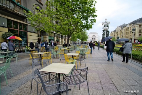 Callejenado por Timisoara con X-Pro2
