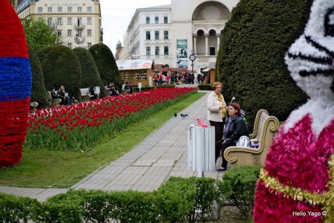 Callejenado por Timisoara con X-Pro2