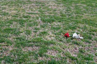 14 de abril Cementerio Municipal de València.